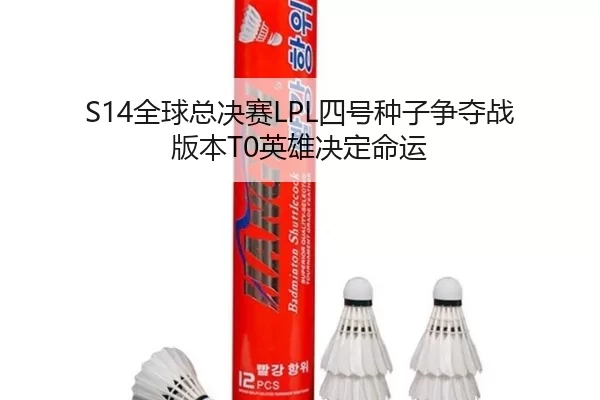 quan-qiu-zong-jue-sai-si-hao-zhong-zi-zheng-duo-zhan-ban-ben-ying-xiong-jue-ding-ming-yun-3-242.jpg