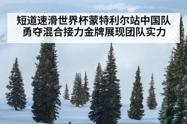 短道速滑世界杯蒙特利尔站中国队勇夺混合接力金牌展现团队实力