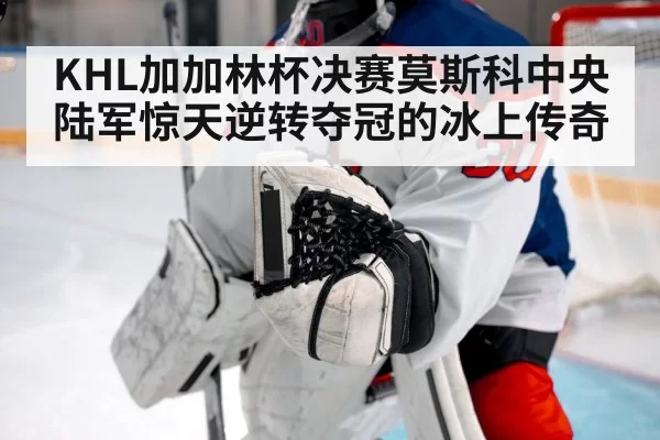 hockey goalie save