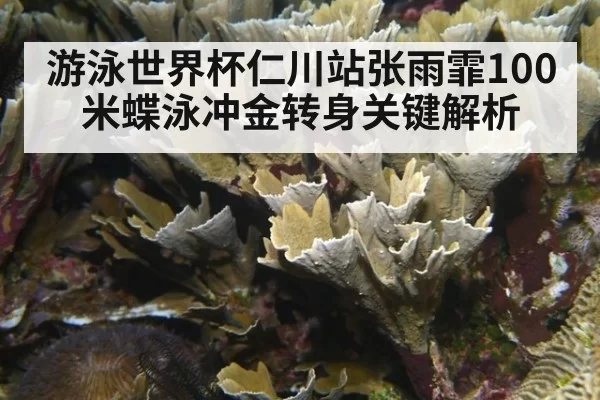 游泳世界杯仁川站张雨霏100米蝶泳冲金转身关键解析